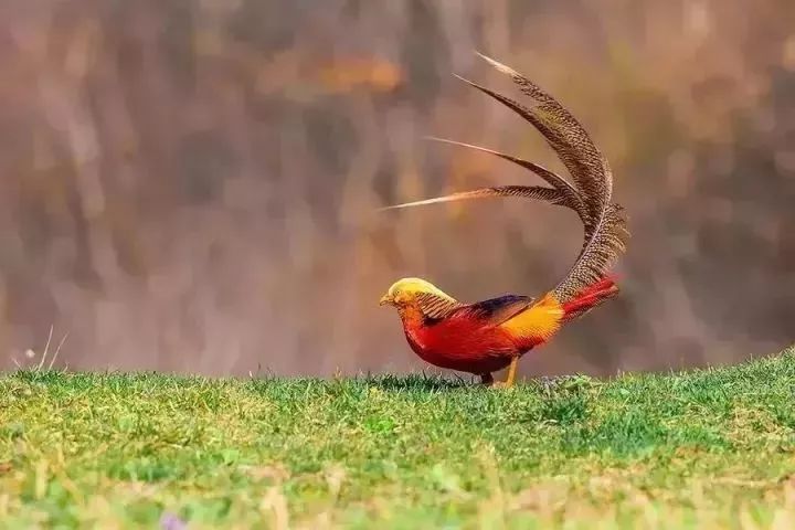 错过了这30个地方，你就相当于辜负了整个贵州！