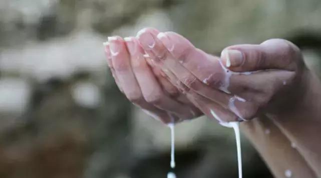 天然有机小众护肤品牌,德国第一有机护肤品牌