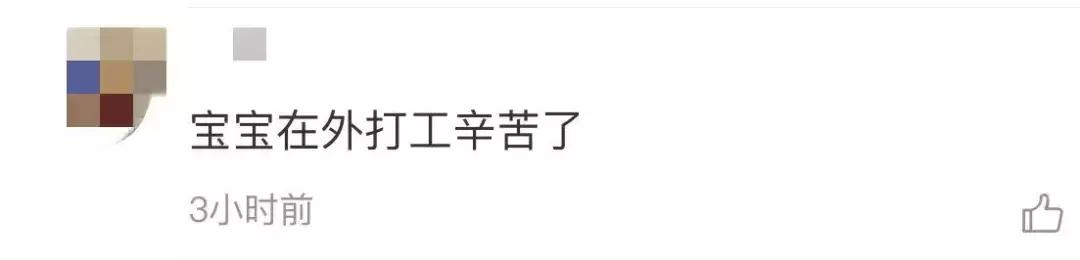 我国国宝大熊猫被外国租借有多难,日本大熊猫悲惨生活
