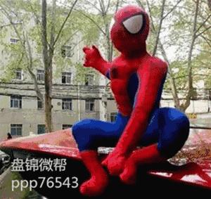 发生车祸英勇牺牲的女民警是谁,最美女交警遇害案