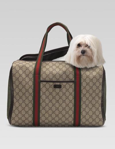 人不如狗系列：住着LV的狗袋，玩着八万元的宠物玩具