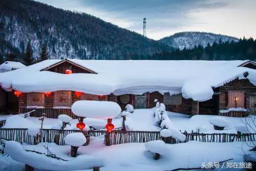 不做待宰的羔羊前面半句,不做束手待宰的羔羊