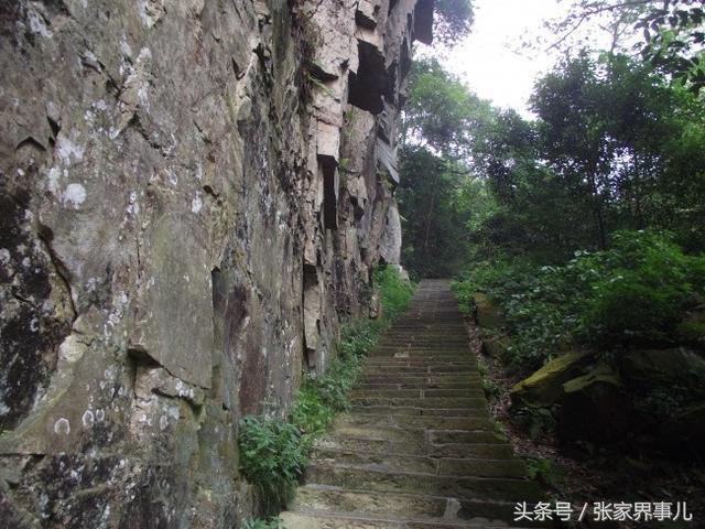 张家界峨眉山旅游路线,张家界旅游路线设计方案