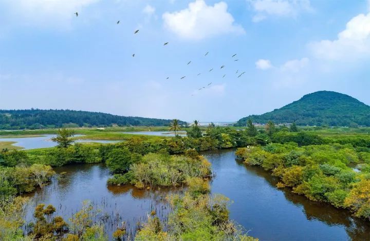 海南琼海宜居城市,海南琼海特色房子