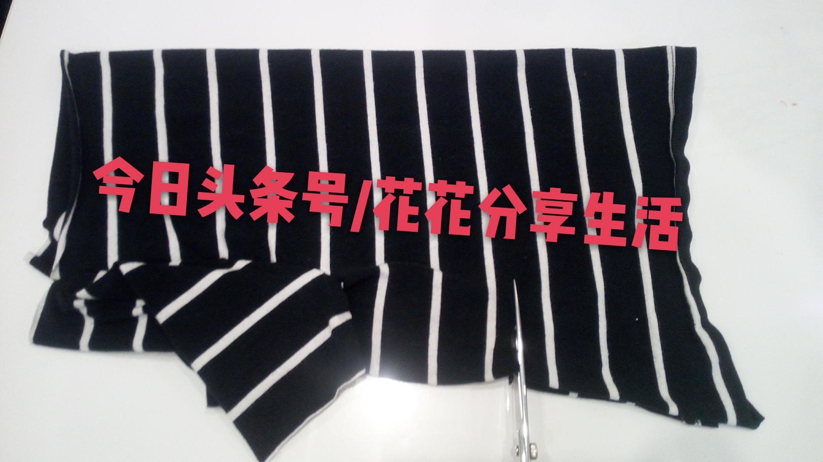 手工制作小狗衣服视频教程,怎样利用旧衣服做狗狗衣服