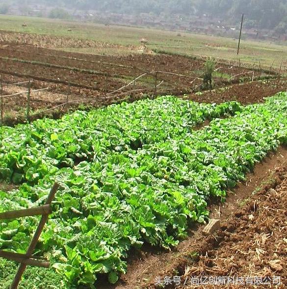 现在最适合小投资的项目,2018国家扶持创业项目加盟