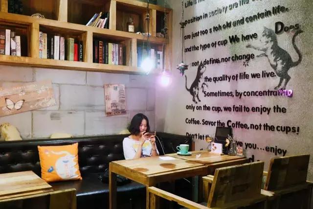 漫猫咖啡加盟费及加盟条件,漫猫咖啡馆