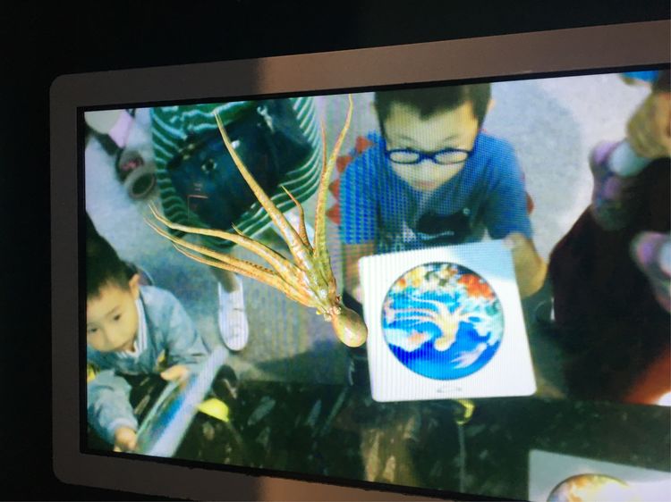 和小屁孩们一起出去玩的视频,和小屁孩玩的一天