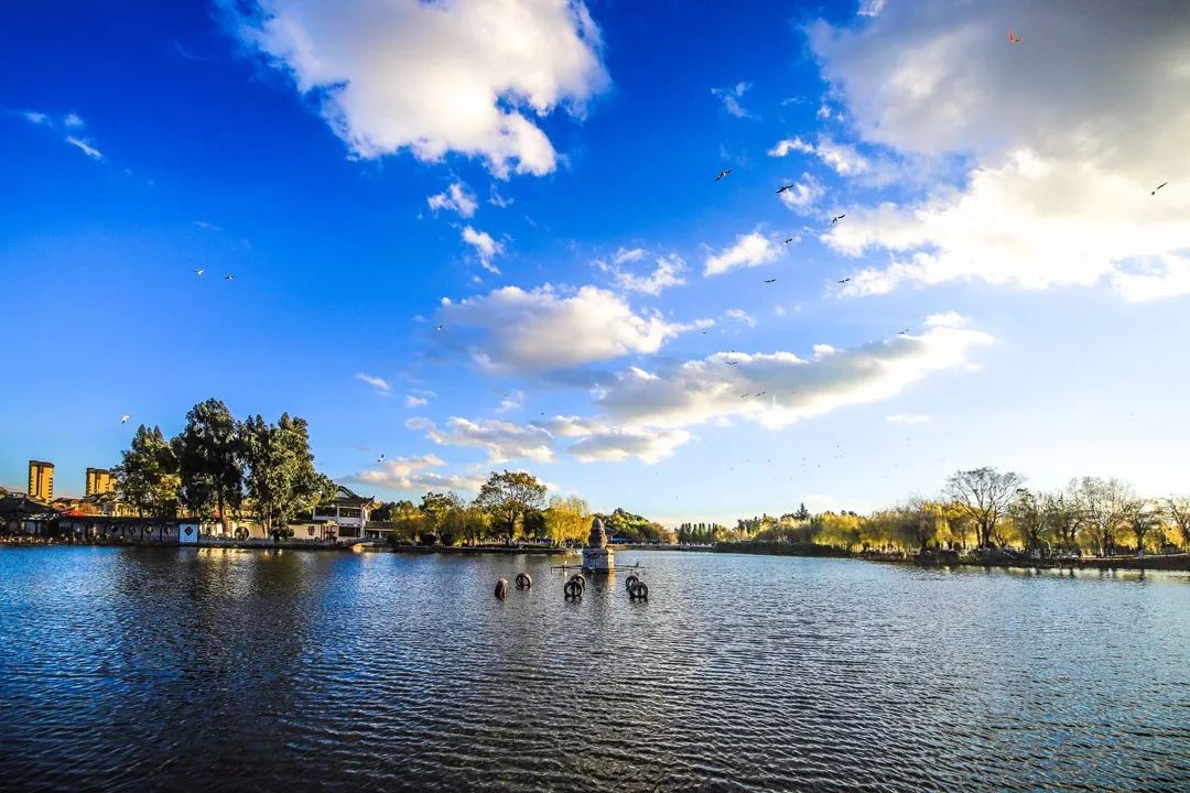春城秀红嘴鸥图片,春城冬日美景