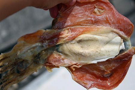 冬夜为阴中之阴之阴墨鱼养的就是身体的“血”和“阴”