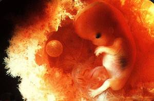 黄体酮保健品的作用,黄体酮保胎神器真的有用吗