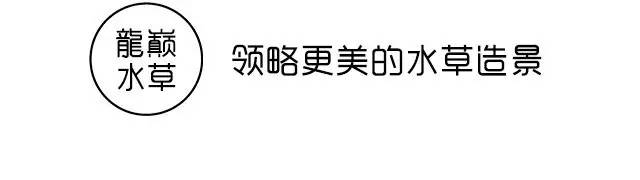 杜鹃根为什么会长菌膜,杜鹃根的菌膜会导致缺氧吗