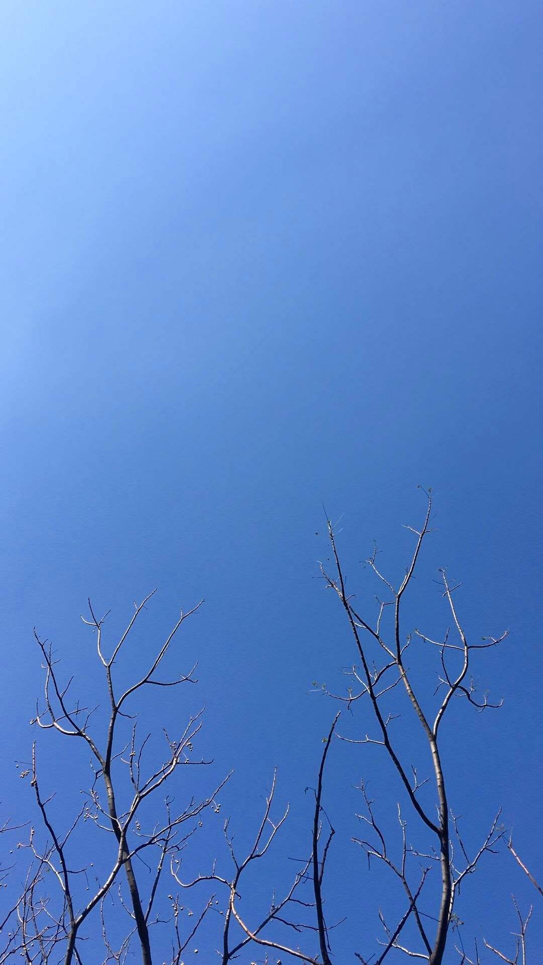 选一款吧！从此攀大就掌握在你手里了！