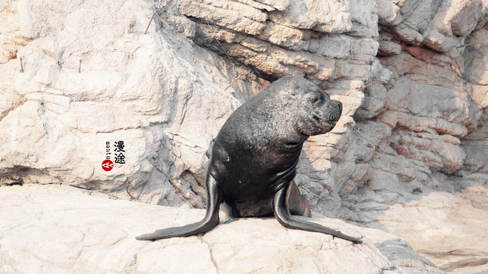 新年广州珠海长隆游记,广州珠海长隆澳门自由行攻略