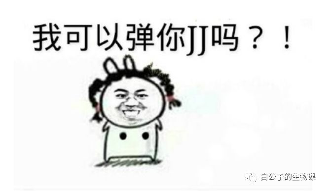 你的丁丁有症状了？再不去看医生就屎掉了！