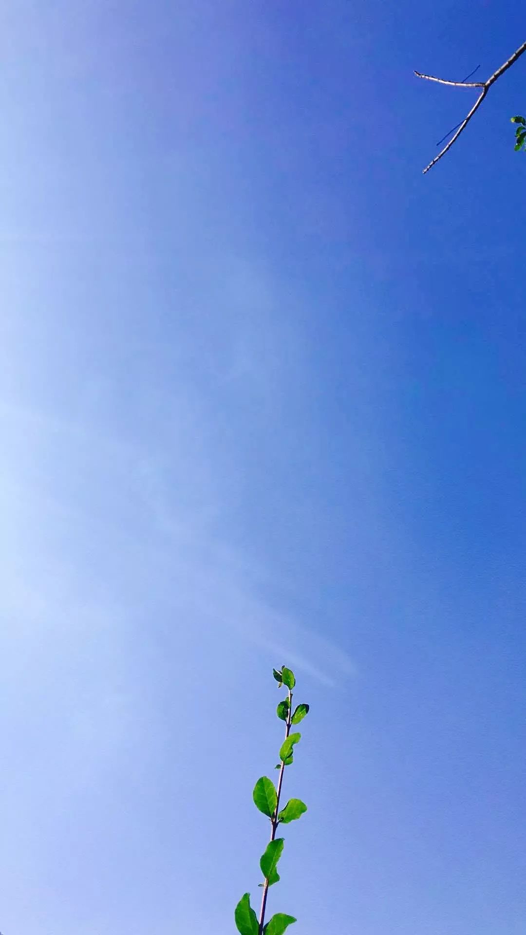 选一款吧！从此攀大就掌握在你手里了！