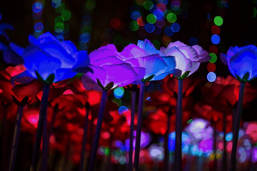 成都灯会七彩田野,灯会大型发光花灯