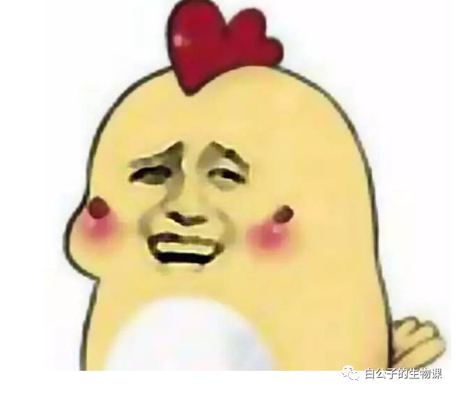 你的丁丁有症状了？再不去看医生就屎掉了！