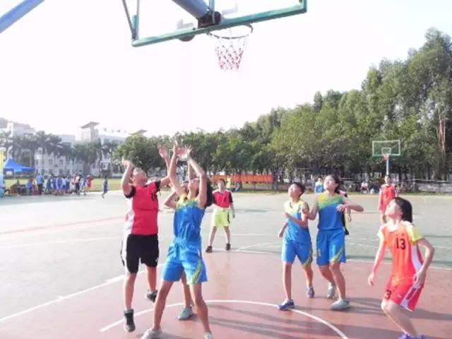 从A到Z，26个字母，看透大南沙！