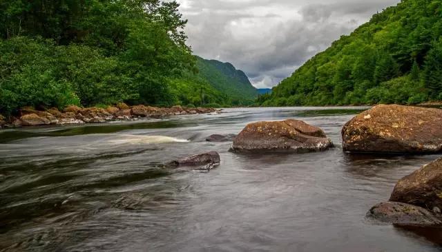 郁金香花节,全世界最大的郁金香