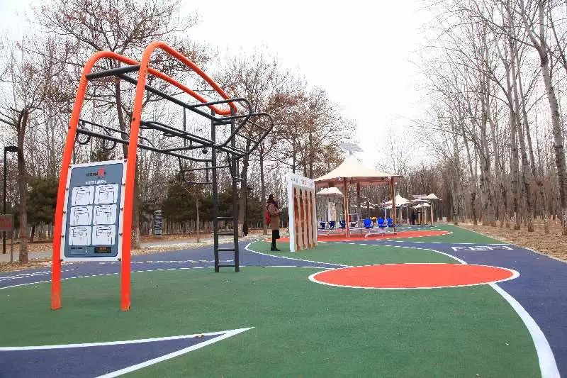 「亦社情」您造么?文化园建了个“高科技”健身广场