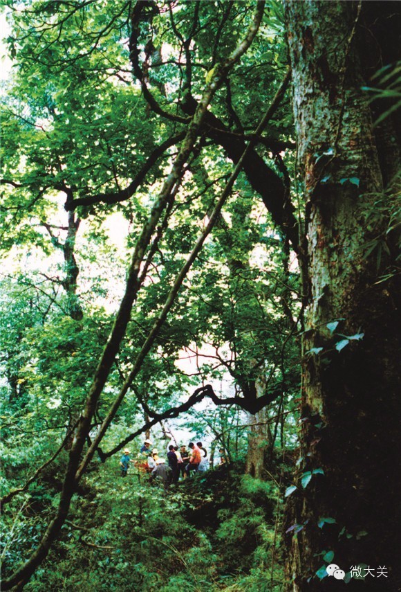 秘境摹本,秘境书法字