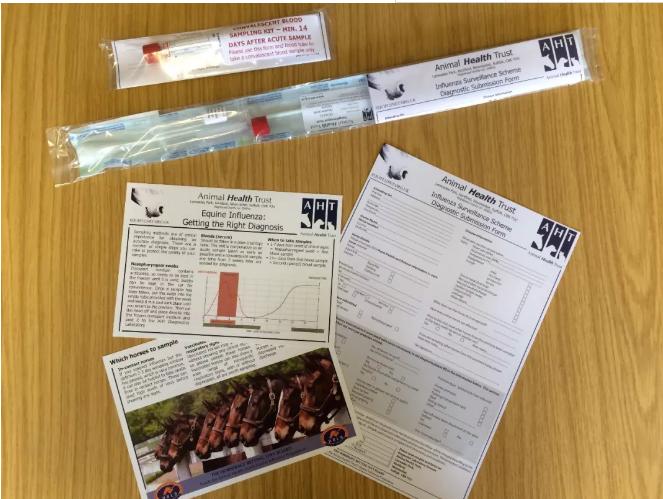 马流感是什么病毒,流感猖獗