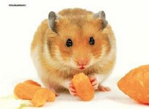 工会工作热点问题,职工近期关注的热点焦点问题