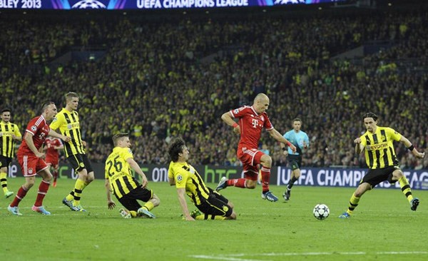 国王里贝里集锦,刀疤国王里贝里