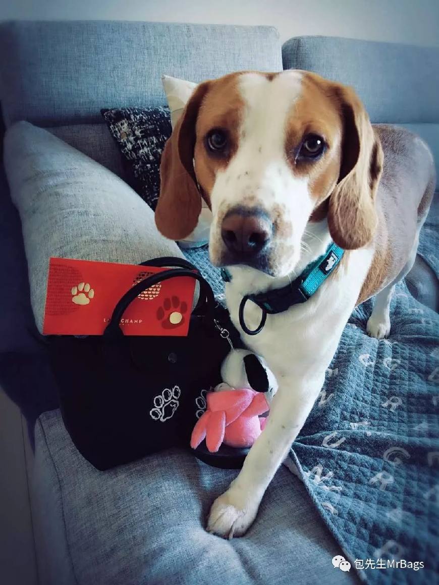 什么叫“包治百病”chanel、LV、Dior让爱买包包的人亲自告诉你