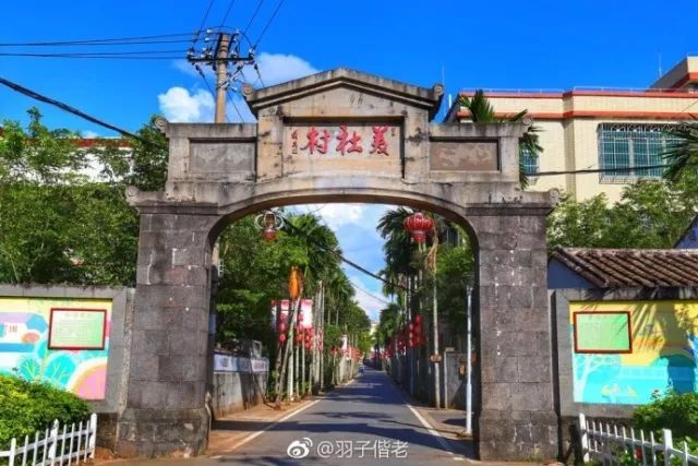 不再关心不再过问,不再过问身后事