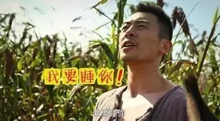 每日热搜最新消息朱亚文,朱亚文最近有什么热搜