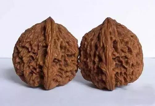 文玩核桃品种图鉴大全前十名,文玩核桃手串品种大全