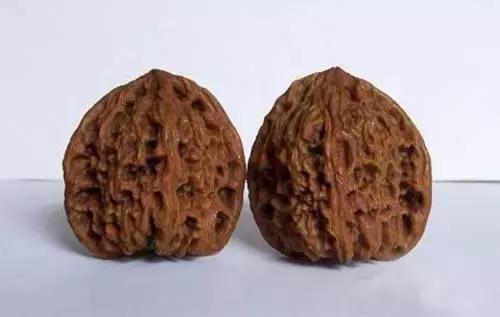 文玩核桃品种图鉴大全前十名,文玩核桃手串品种大全