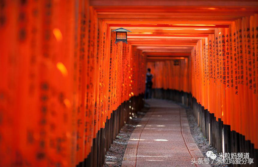 亲子游出境自由行,亲子游建议去的十个城市