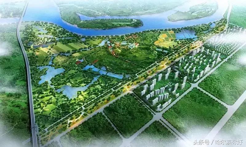 2018年哈尔滨各区县排名,2018年哈尔滨各区gdp