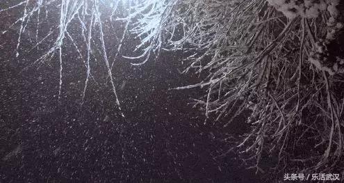 武汉最好最适合约会的餐饮,武汉约会餐厅走心推荐