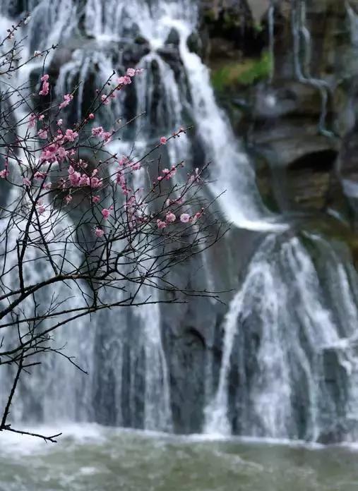 腊八十首经典诗词,赞美腊八饭的诗