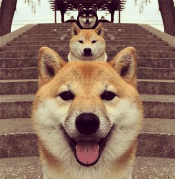 招行理财到期多久到账,招行理财无法兑付