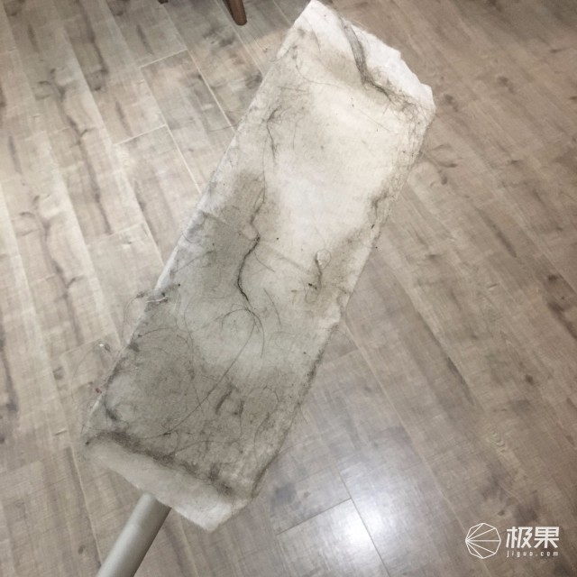 猫奴必做攻略,猫奴必看喵星人