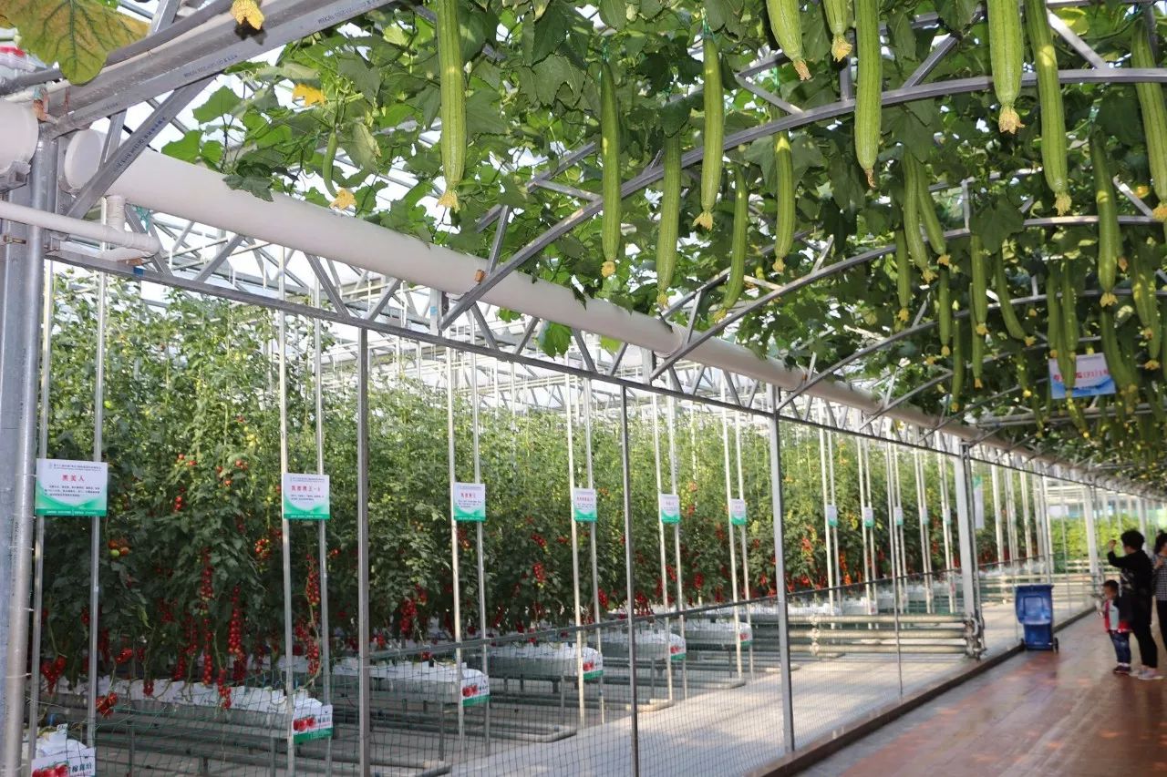 贺州特色农业产业是什么,贺州市村级经济产业示范园