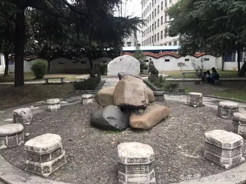 永兴一中老师名单,永兴一中