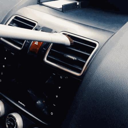 猫奴必做攻略,猫奴必看喵星人