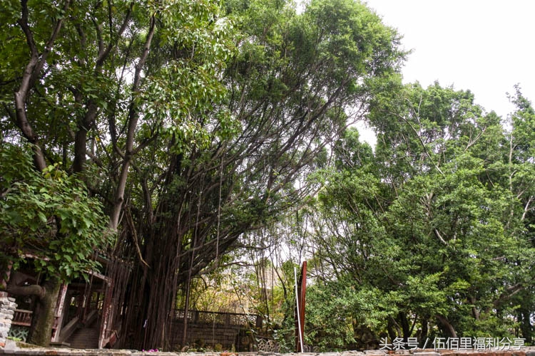 福州仓山老洋房景点,福州仓山城门老洋房