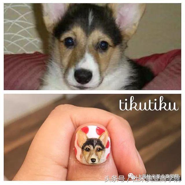 狗年财运最好的地方,狗年发财什么意思