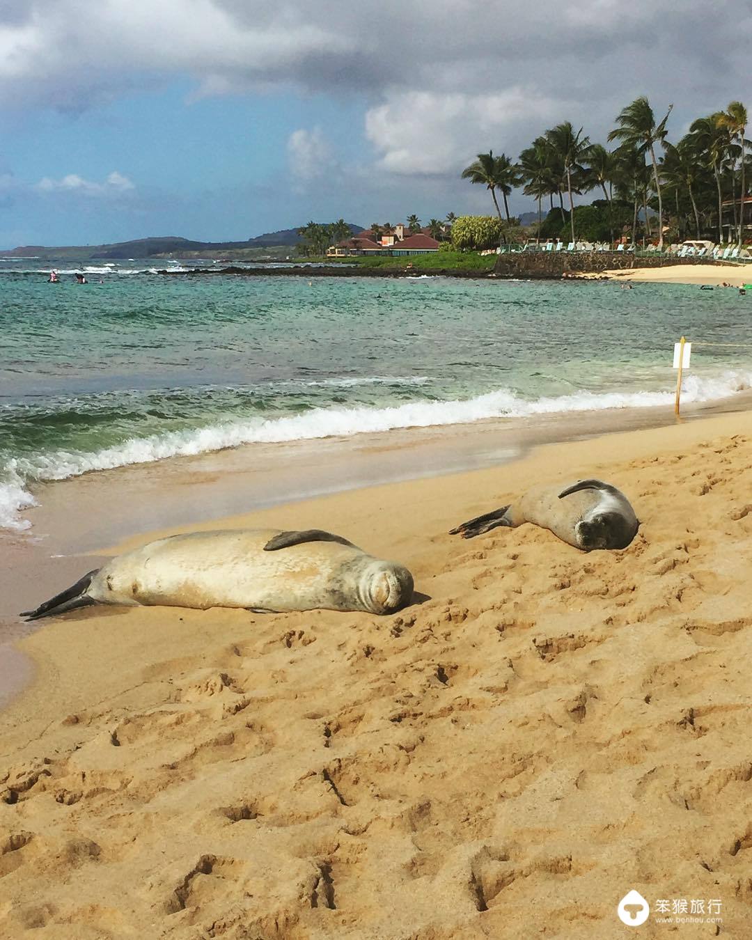 我错过的这座花园岛屿，却是美国人的最爱，连扎克伯格也飞来买地