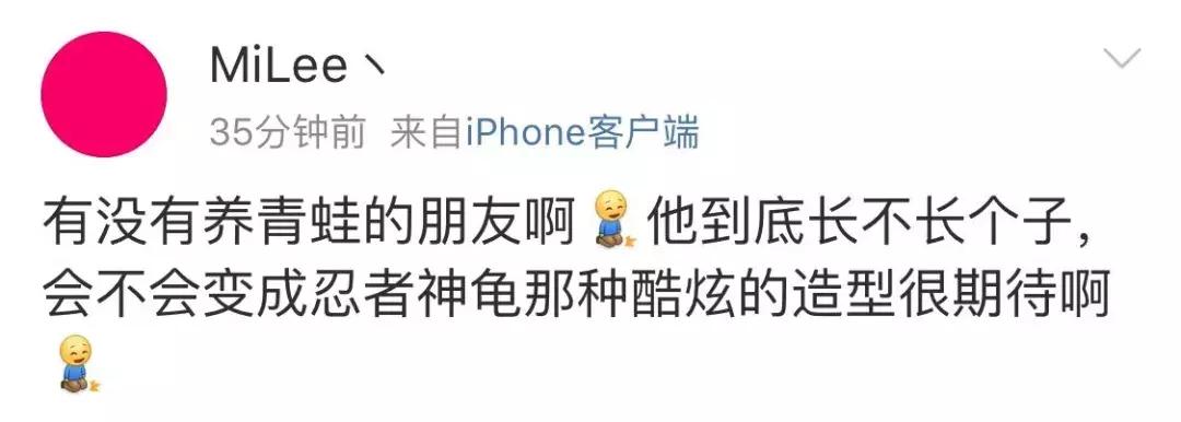 如果旅行青蛙变成这样你们还养吗,旅行青蛙中如何正确养蛙