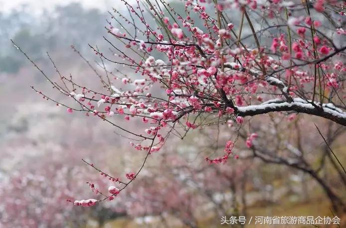 玩转河南冬天,玩转河南许昌