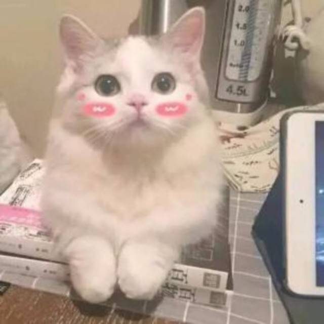 怎么成为漫展主办方,怎样成为漫展嘉宾