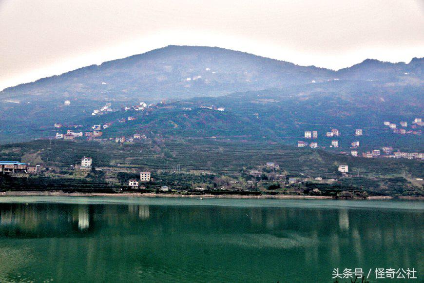 柑橘防寒防冻最佳方法,柑橘冻害防御措施图解